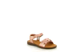 Froddo nu pied lore flower g3150251 rose